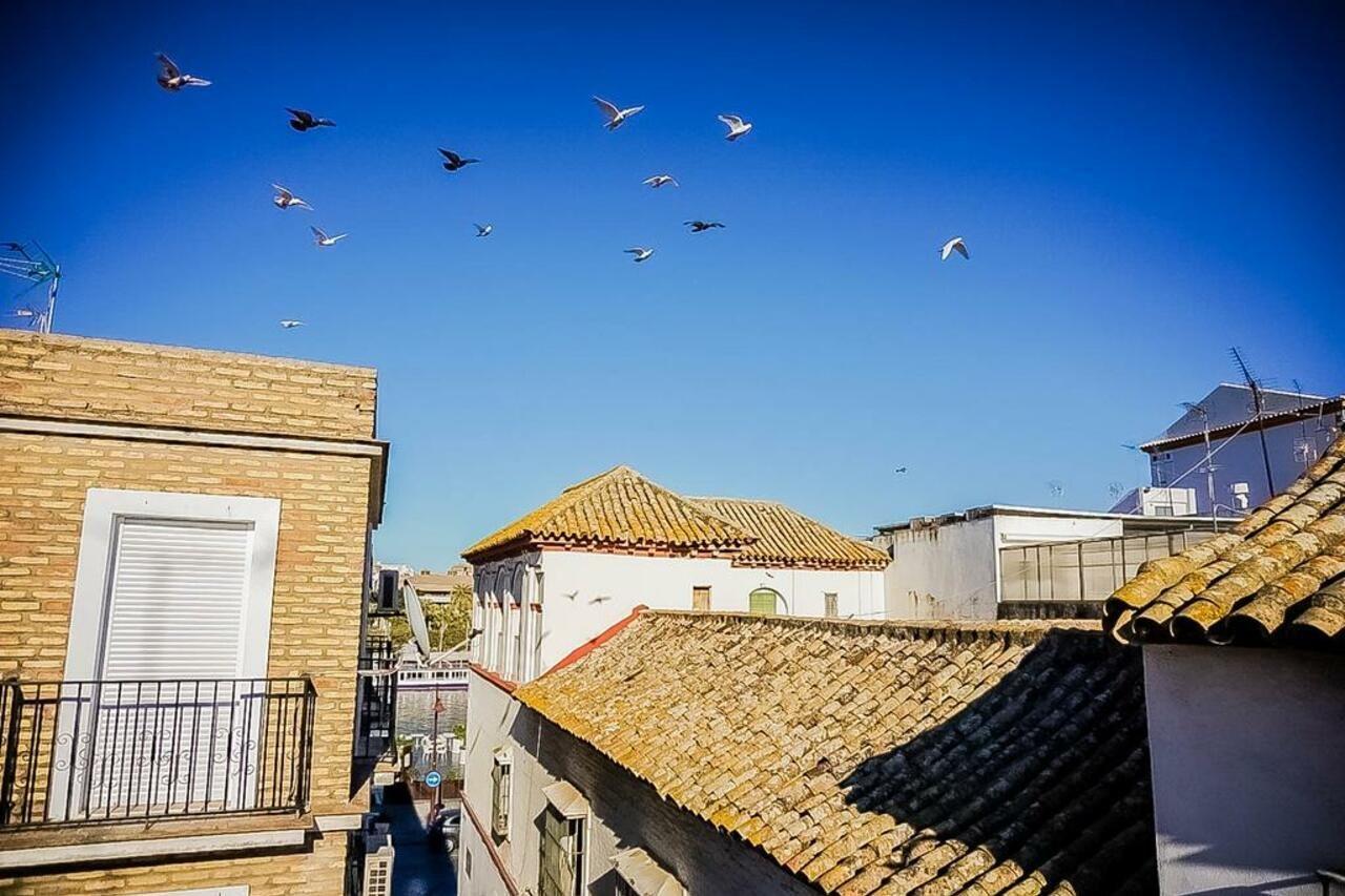 Luminoso En Triana Appartement *